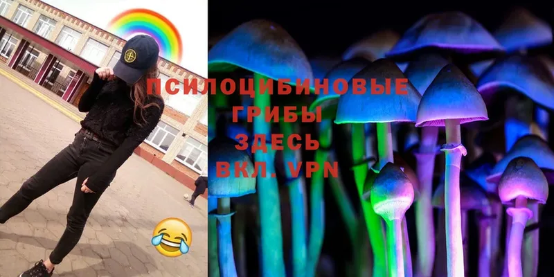 блэк спрут зеркало  Арсеньев  Псилоцибиновые грибы Magic Shrooms 